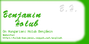 benjamin holub business card
