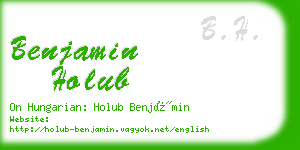 benjamin holub business card